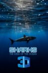 Sharks: Kings of the Ocean Movie Streaming Online