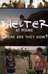 Shelter at Home Movie Streaming Online