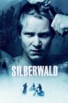 Silver Forest Movie Streaming Online