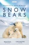 Snow Bears Movie Streaming Online