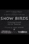 Snow Birds Movie Streaming Online