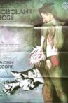Sobolanii rosii Movie Streaming Online