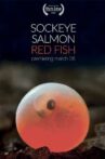 Sockeye Salmon. Red Fish Movie Streaming Online