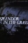Splendor in the Grass Movie Streaming Online