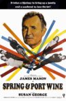 Spring and Port Wine Movie Streaming Online