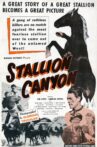 Stallion Canyon Movie Streaming Online