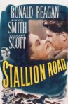 Stallion Road Movie Streaming Online