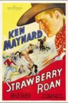Strawberry Roan Movie Streaming Online