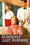 Suddenly, Last Summer Movie Streaming Online