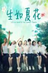 Summer Flowers Movie Streaming Online