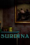 Surdine Movie Streaming Online