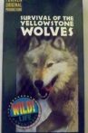 Survival of the Yellowstone Wolves Movie Streaming Online