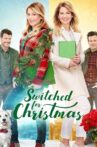 Switched for Christmas Movie Streaming Online