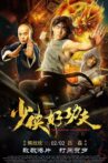 Swordsman Nice Kungfu Movie Streaming Online