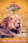 The African Lion Movie Streaming Online