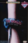 The Bangles: Live at the Syria Mosque Movie Streaming Online