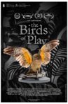 The Birds of Play Movie Streaming Online