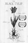 The Black Tulip Movie Streaming Online