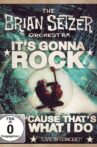 The Brian Setzer Orchestra - It's Gonna Rock... 'Cause That's What I Do Movie Streaming Online
