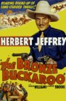 The Bronze Buckaroo Movie Streaming Online