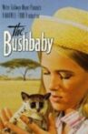 The Bushbaby Movie Streaming Online