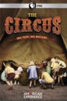 The Circus Movie Streaming Online