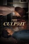 The Culprit Movie Streaming Online