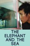 The Elephant and the Sea Movie Streaming Online