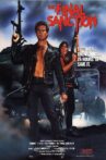 The Final Sanction Movie Streaming Online