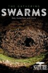 The Gathering Swarms Movie Streaming Online