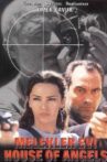 The House of Angels Movie Streaming Online