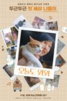 The Journey of the 12 Cats Movie Streaming Online