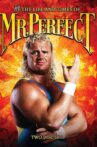 The Life and Times of Mr. Perfect Movie Streaming Online