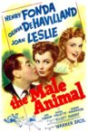 The Male Animal Movie Streaming Online