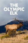 The Olympic Elk Movie Streaming Online