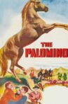 The Palomino Movie Streaming Online
