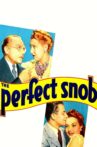 The Perfect Snob Movie Streaming Online