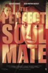 The Perfect Soulmate Movie Streaming Online