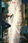 The Pigeon Movie Streaming Online