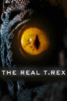 The Real T Rex with Chris Packham Movie Streaming Online