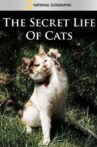 The Secret Life of Cats Movie Streaming Online