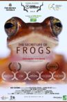 The Secret Life of Frogs Movie Streaming Online