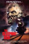 The Sleeping Car Movie Streaming Online