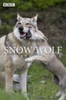 The Snow Wolf: A Winter's Tale Movie Streaming Online