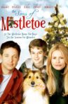 The Sons of Mistletoe Movie Streaming Online