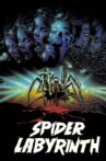 The Spider Labyrinth Movie Streaming Online