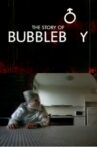 The Story of Bubbleboy Movie Streaming Online