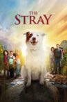 The Stray Movie Streaming Online