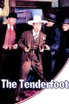 The Tenderfoot Movie Streaming Online