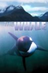 The Whale Movie Streaming Online
